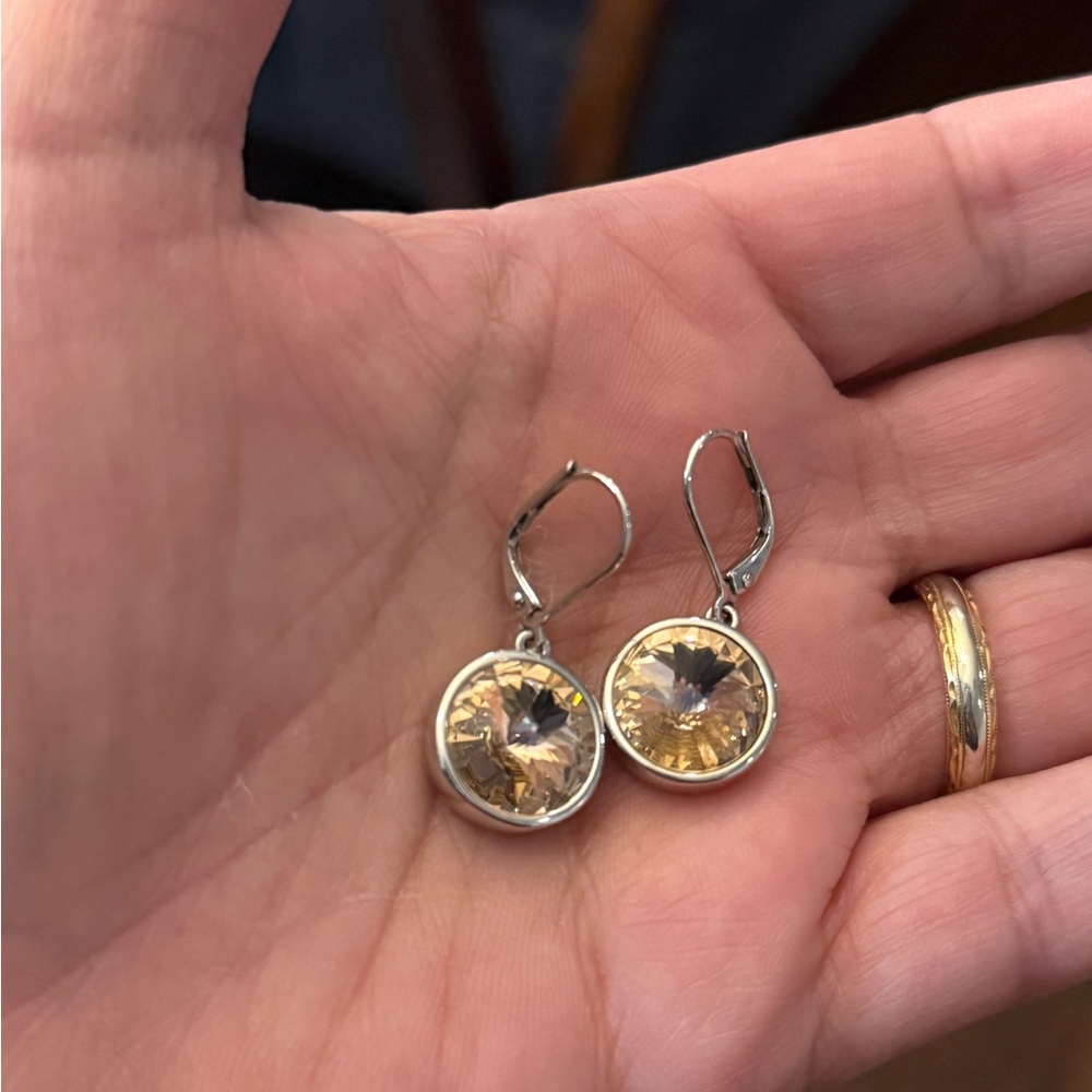 Elegant Silver and Pink-Toned Earrings